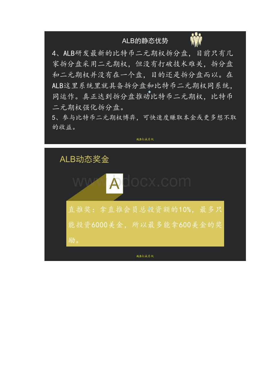 ALB跨界商资奖金制度.docx_第2页