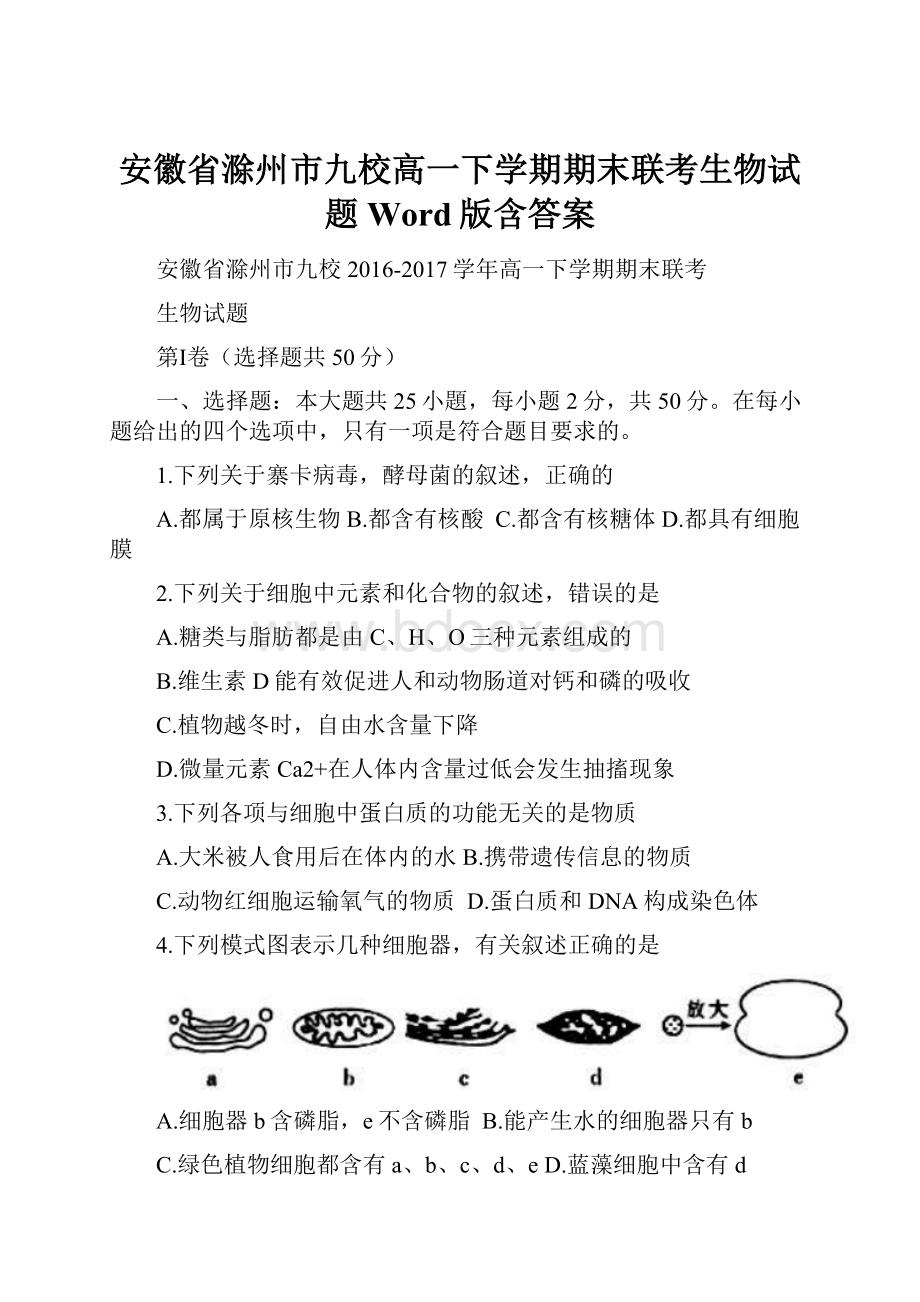 安徽省滁州市九校高一下学期期末联考生物试题Word版含答案.docx