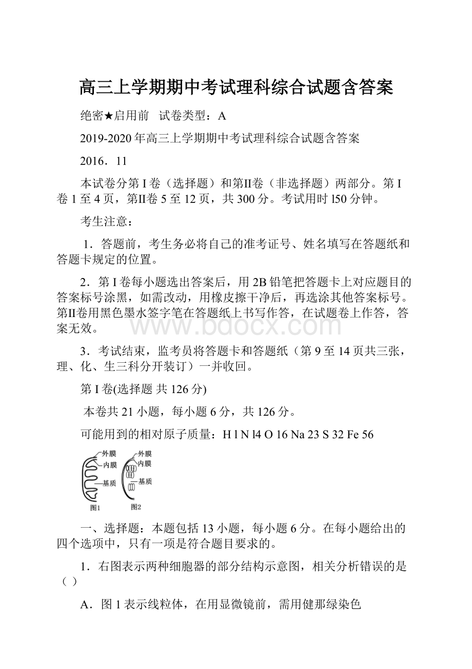 高三上学期期中考试理科综合试题含答案.docx