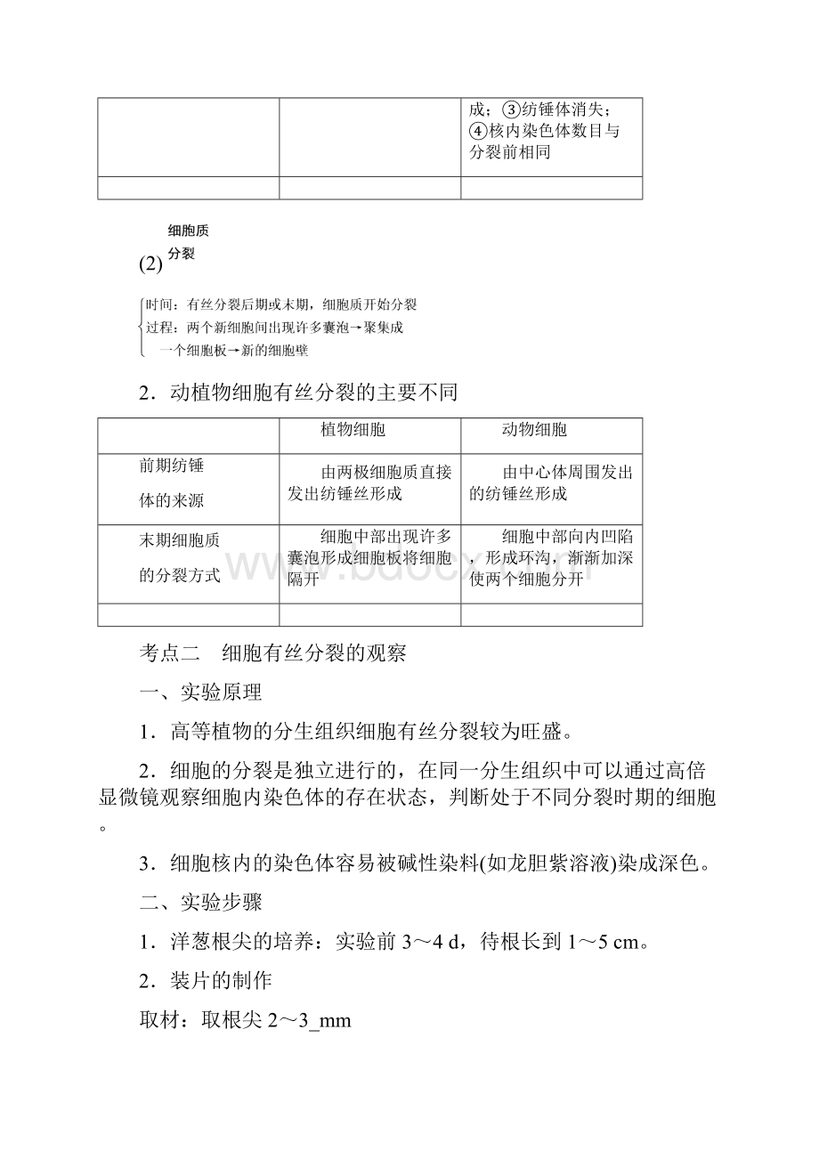 第7讲 细胞的增殖.docx_第3页