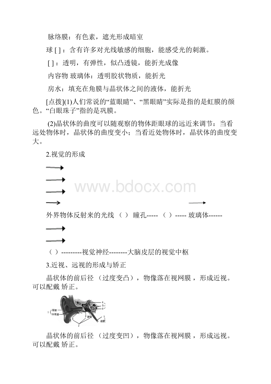 广东省中山市中考生物专题复习第四单元生物圈中的人第六章人体生命活动的调节.docx_第3页