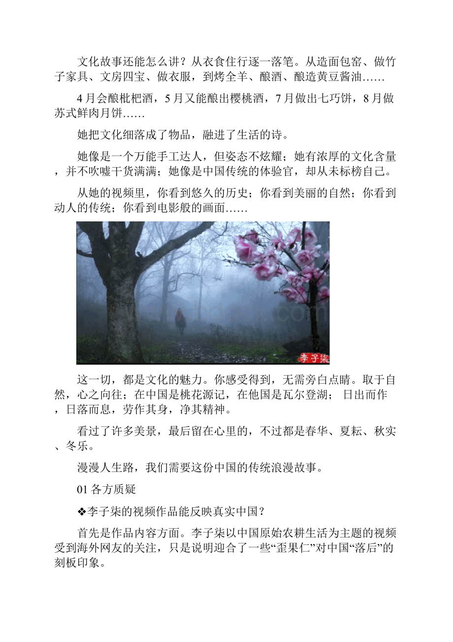 高中语文新思路现象级人物 李子柒.docx_第3页