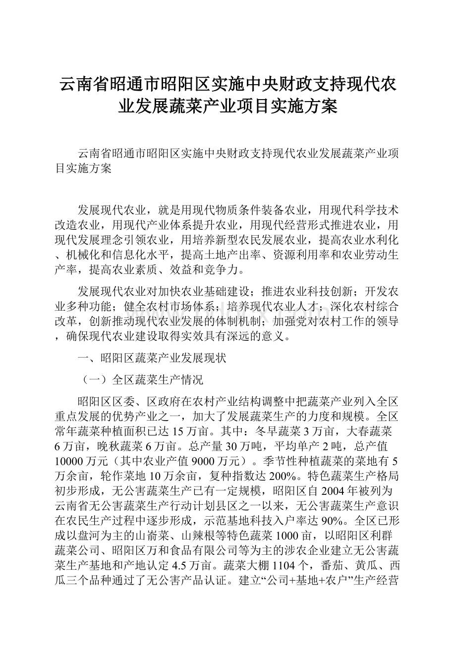 云南省昭通市昭阳区实施中央财政支持现代农业发展蔬菜产业项目实施方案.docx