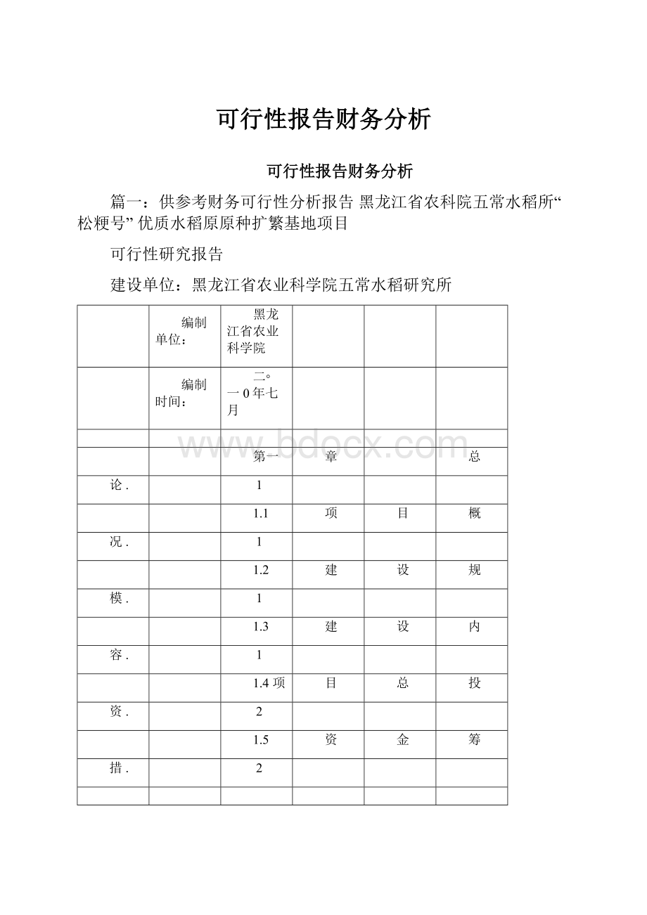 可行性报告财务分析.docx