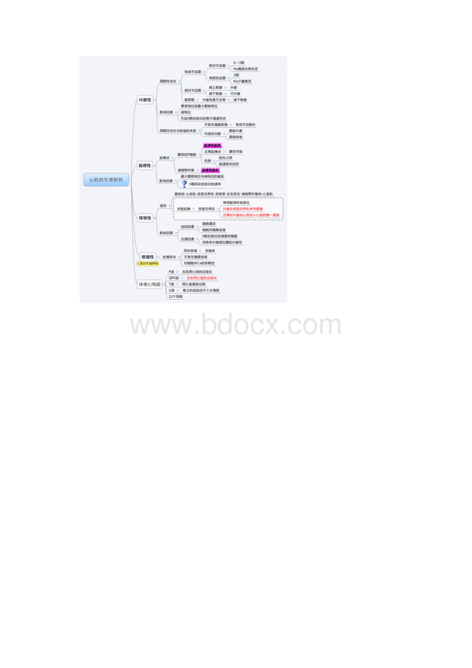 生理学思维导图.docx_第3页