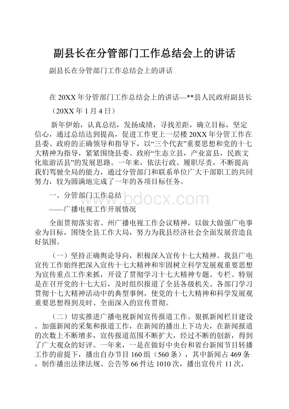 副县长在分管部门工作总结会上的讲话.docx