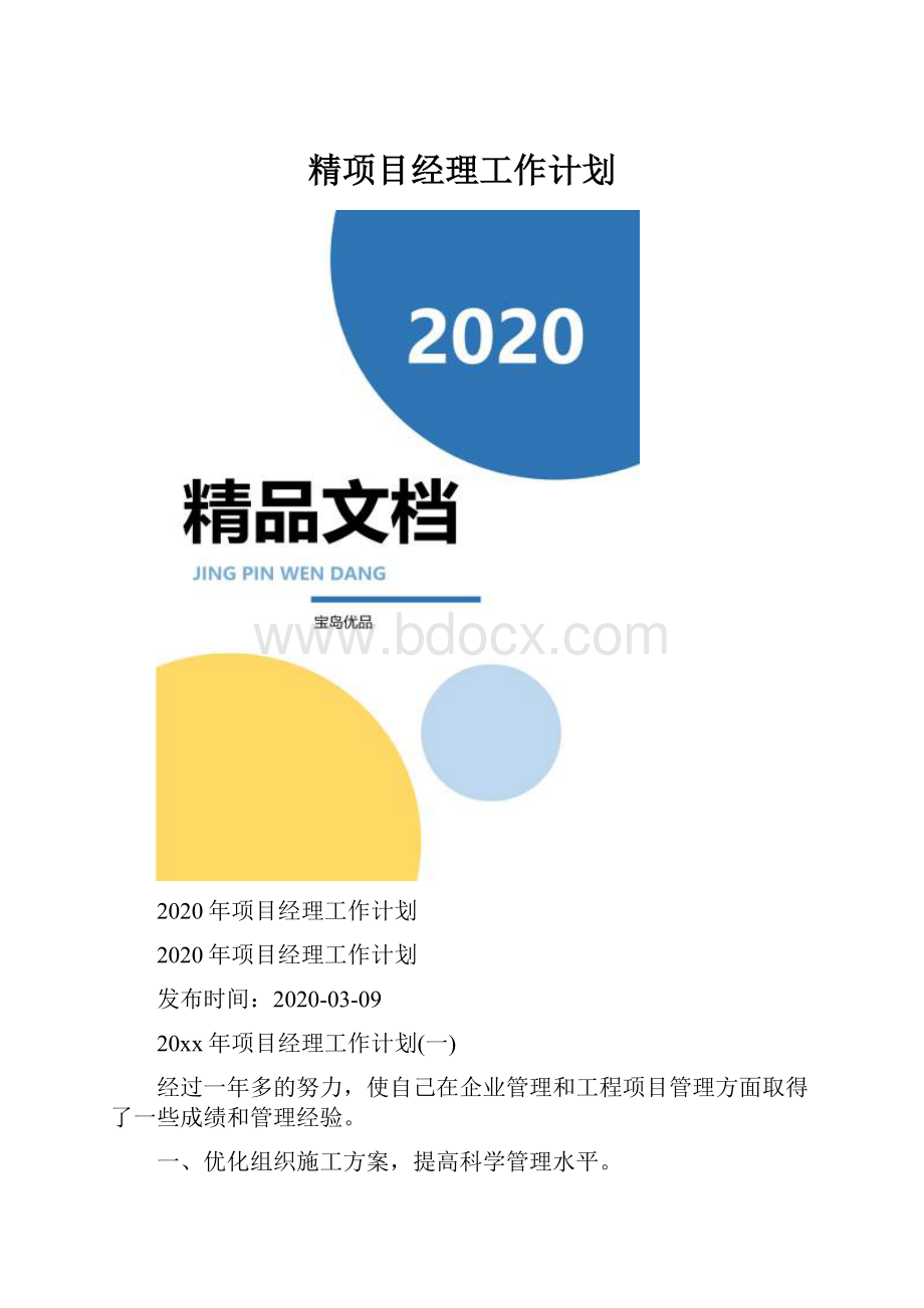 精项目经理工作计划.docx