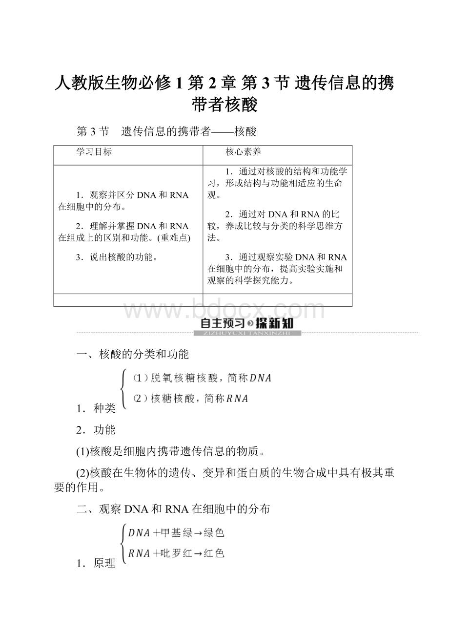 人教版生物必修1 第2章 第3节 遗传信息的携带者核酸.docx