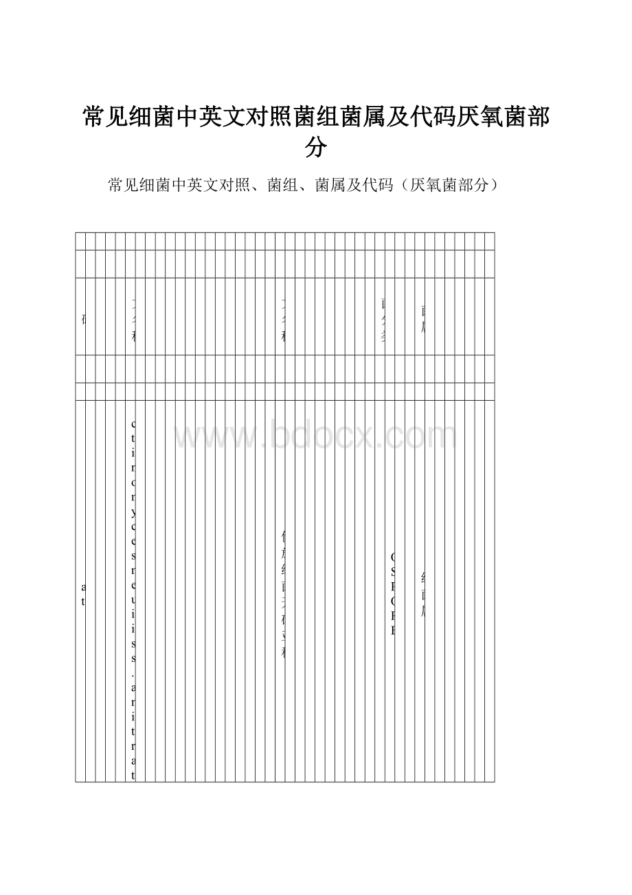 常见细菌中英文对照菌组菌属及代码厌氧菌部分.docx_第1页