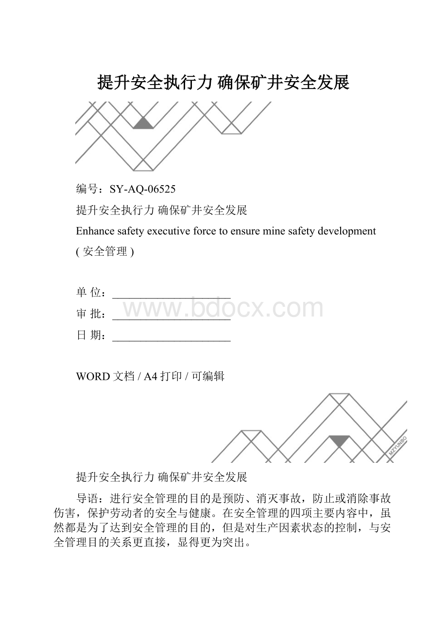 提升安全执行力 确保矿井安全发展.docx