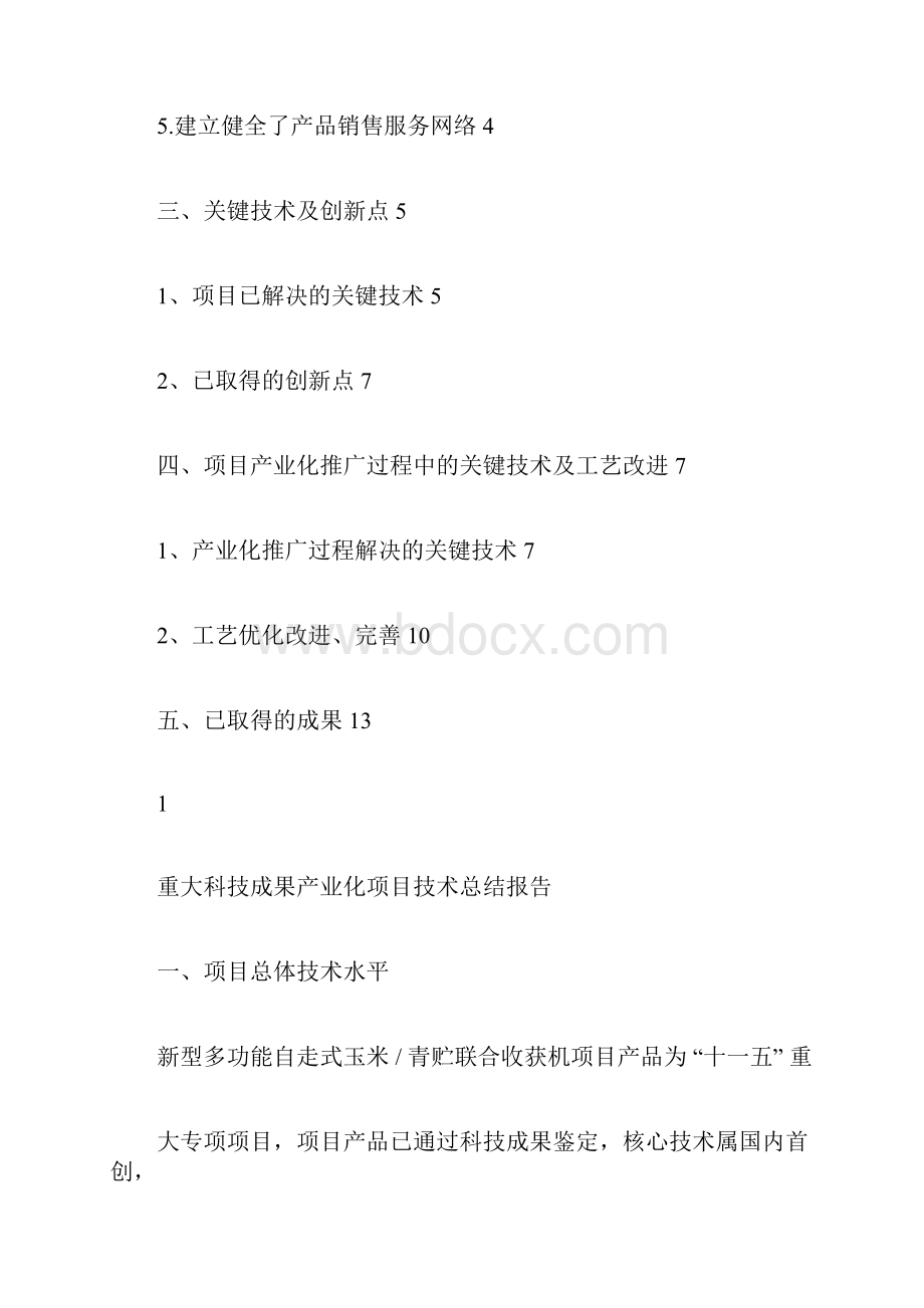 项目技术总结报告.docx_第2页