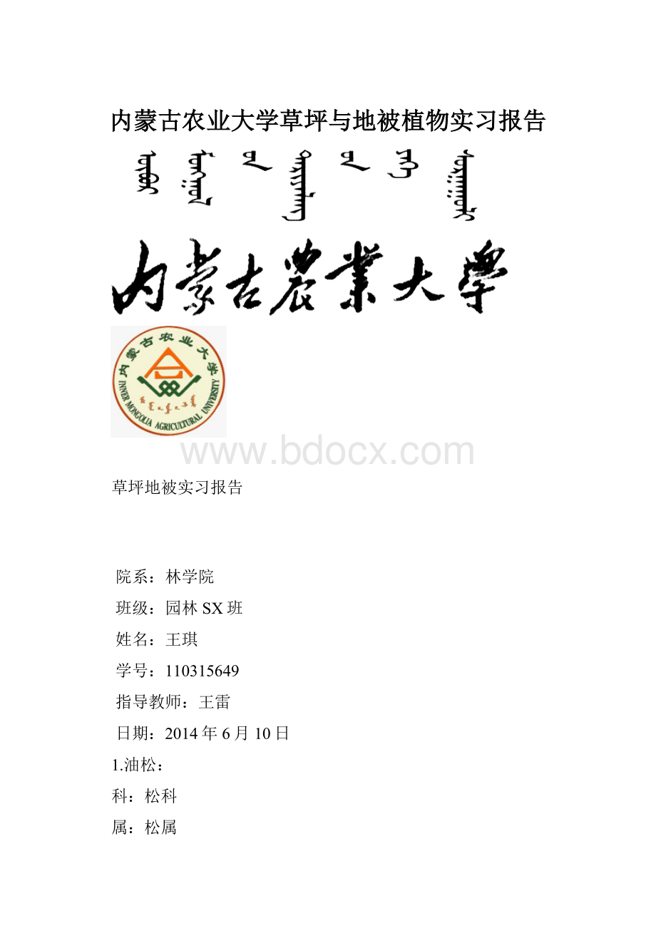 内蒙古农业大学草坪与地被植物实习报告.docx