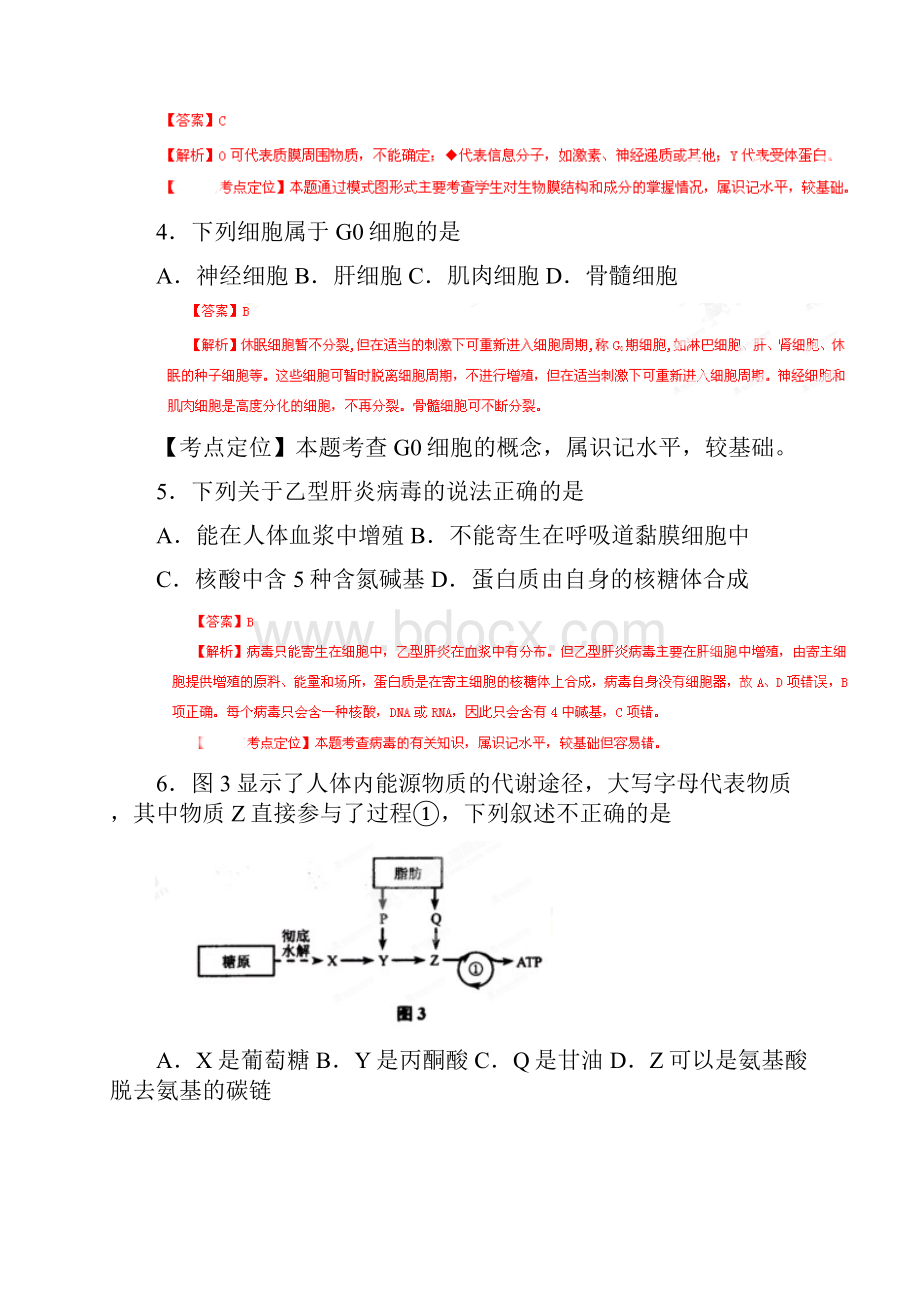 普通高等学校招生全国统一考试 生物上海卷解析版.docx_第3页