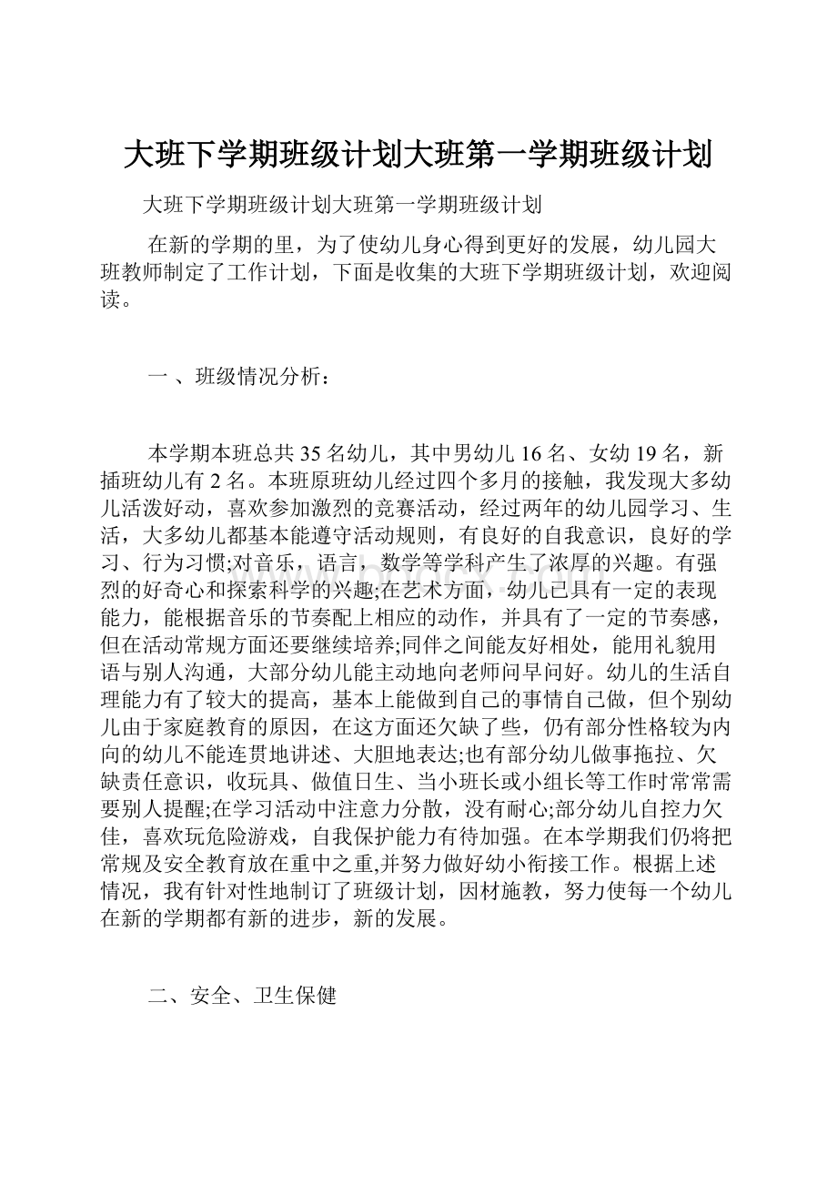 大班下学期班级计划大班第一学期班级计划.docx