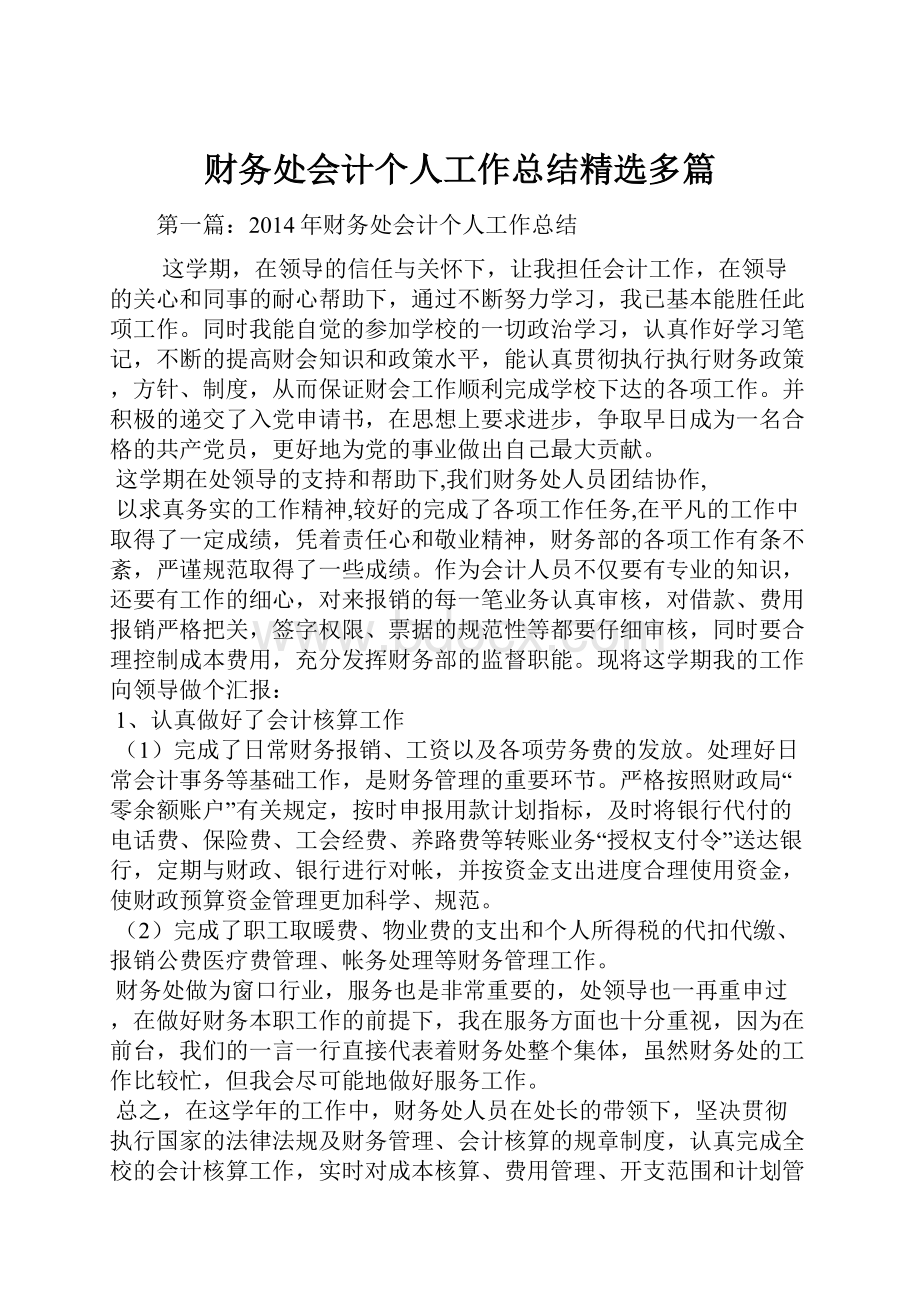 财务处会计个人工作总结精选多篇.docx