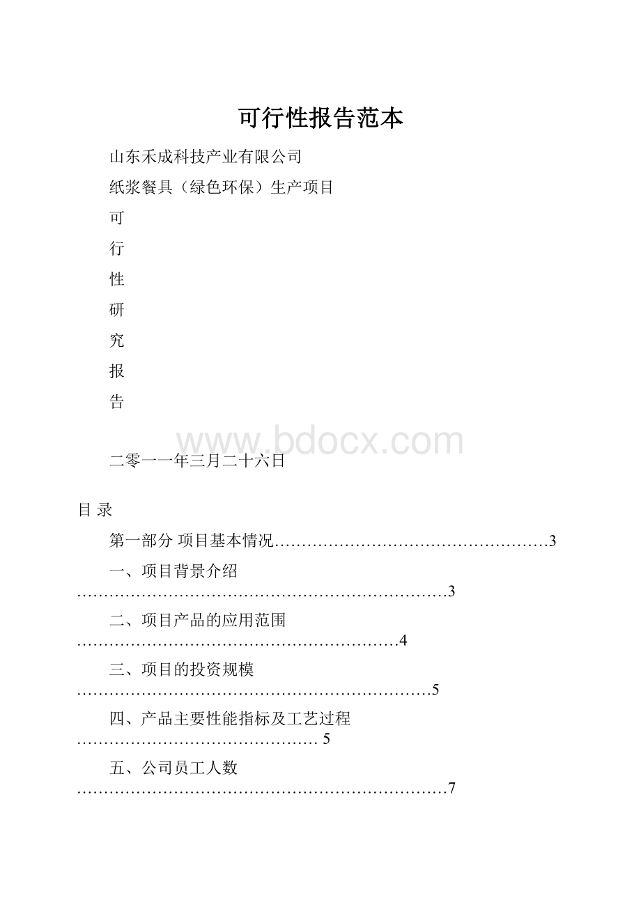 可行性报告范本.docx