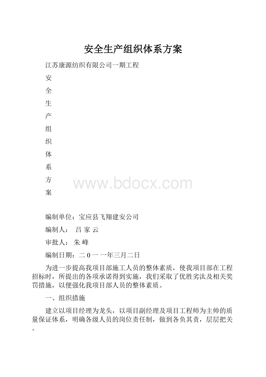 安全生产组织体系方案.docx