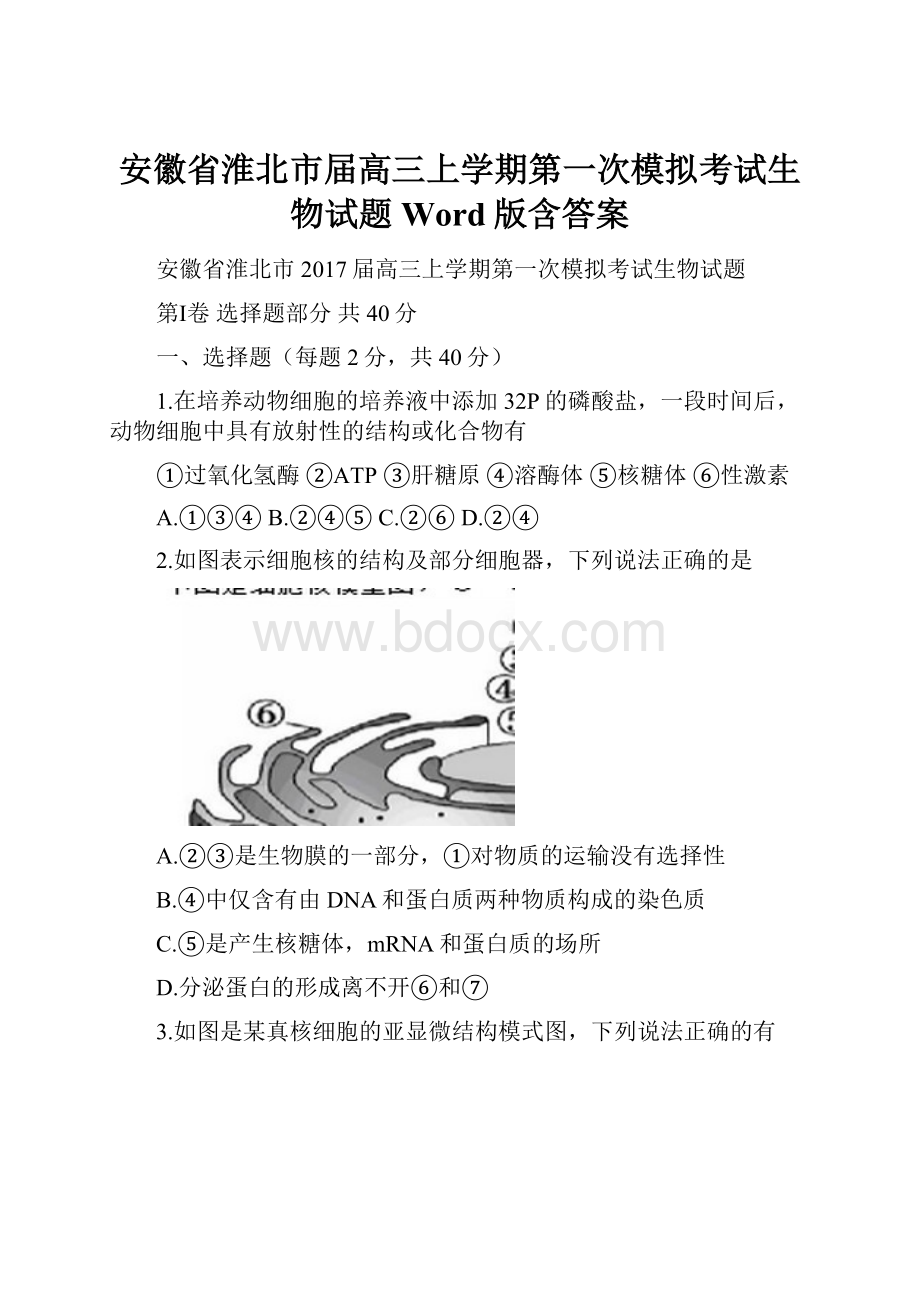 安徽省淮北市届高三上学期第一次模拟考试生物试题 Word版含答案.docx_第1页