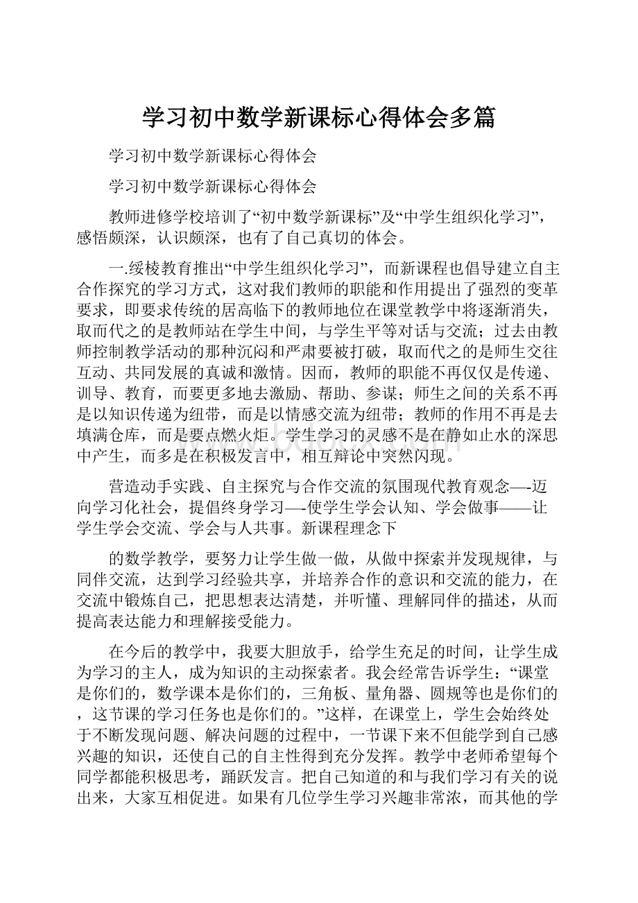 学习初中数学新课标心得体会多篇.docx_第1页