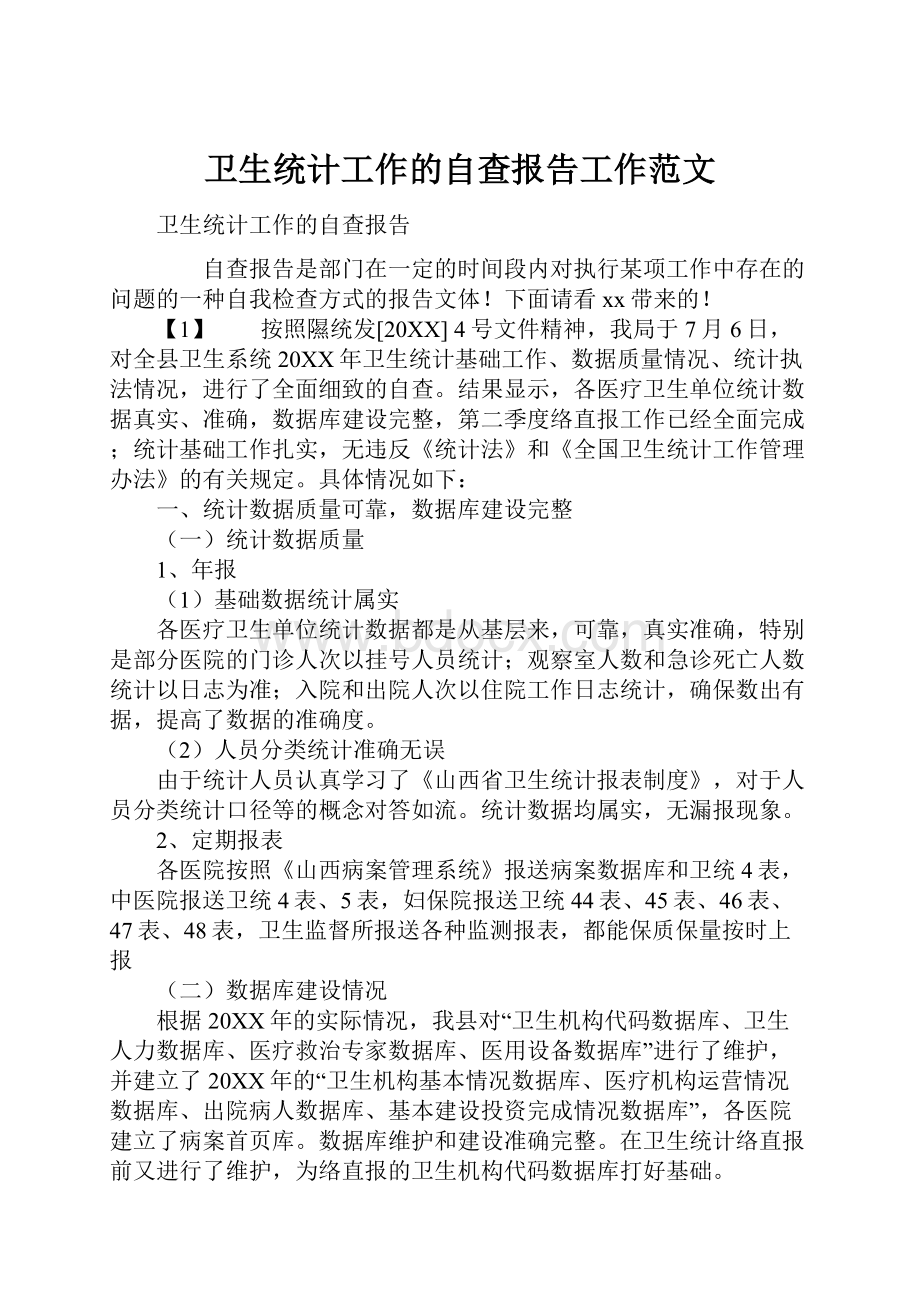 卫生统计工作的自查报告工作范文.docx