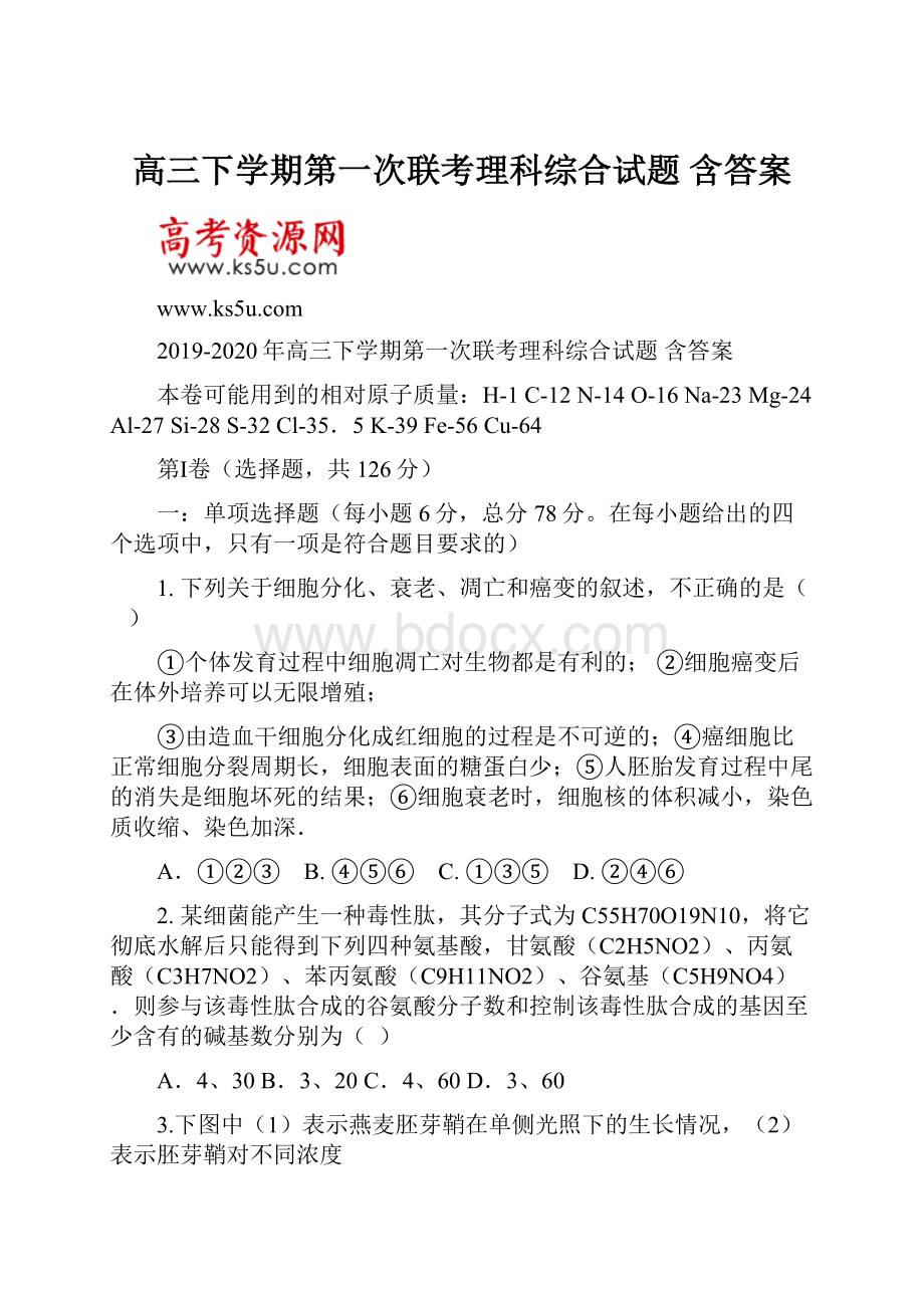 高三下学期第一次联考理科综合试题 含答案.docx