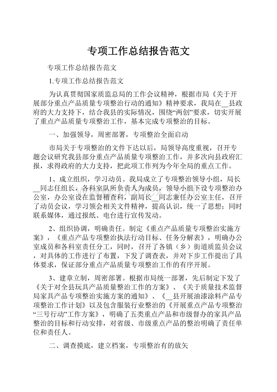 专项工作总结报告范文.docx