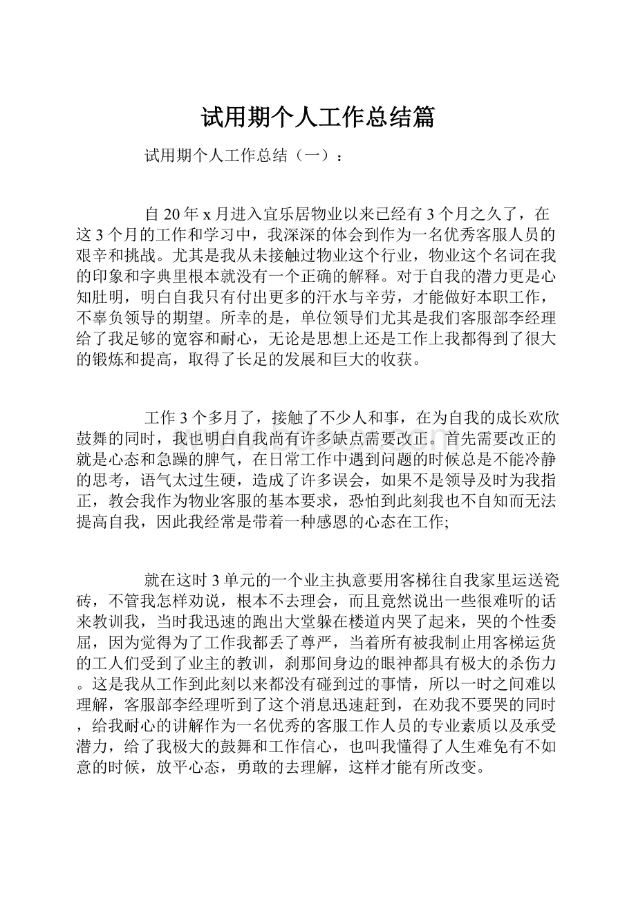 试用期个人工作总结篇.docx