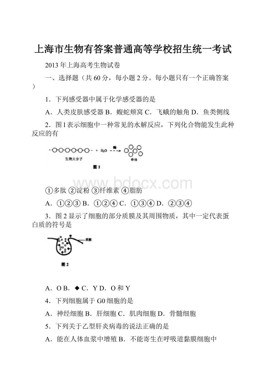 上海市生物有答案普通高等学校招生统一考试.docx