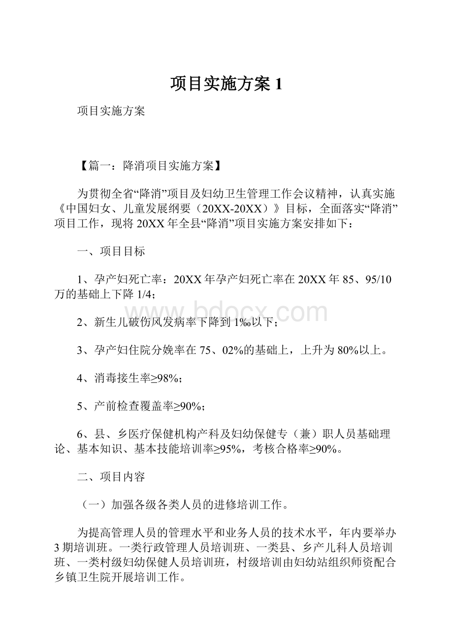 项目实施方案1.docx