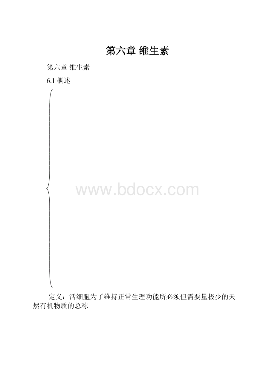 第六章维生素.docx