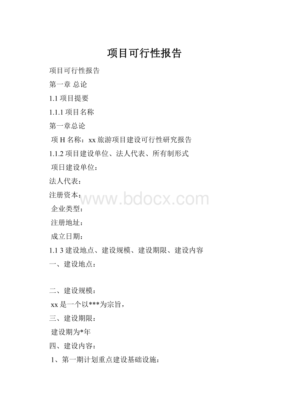 项目可行性报告.docx