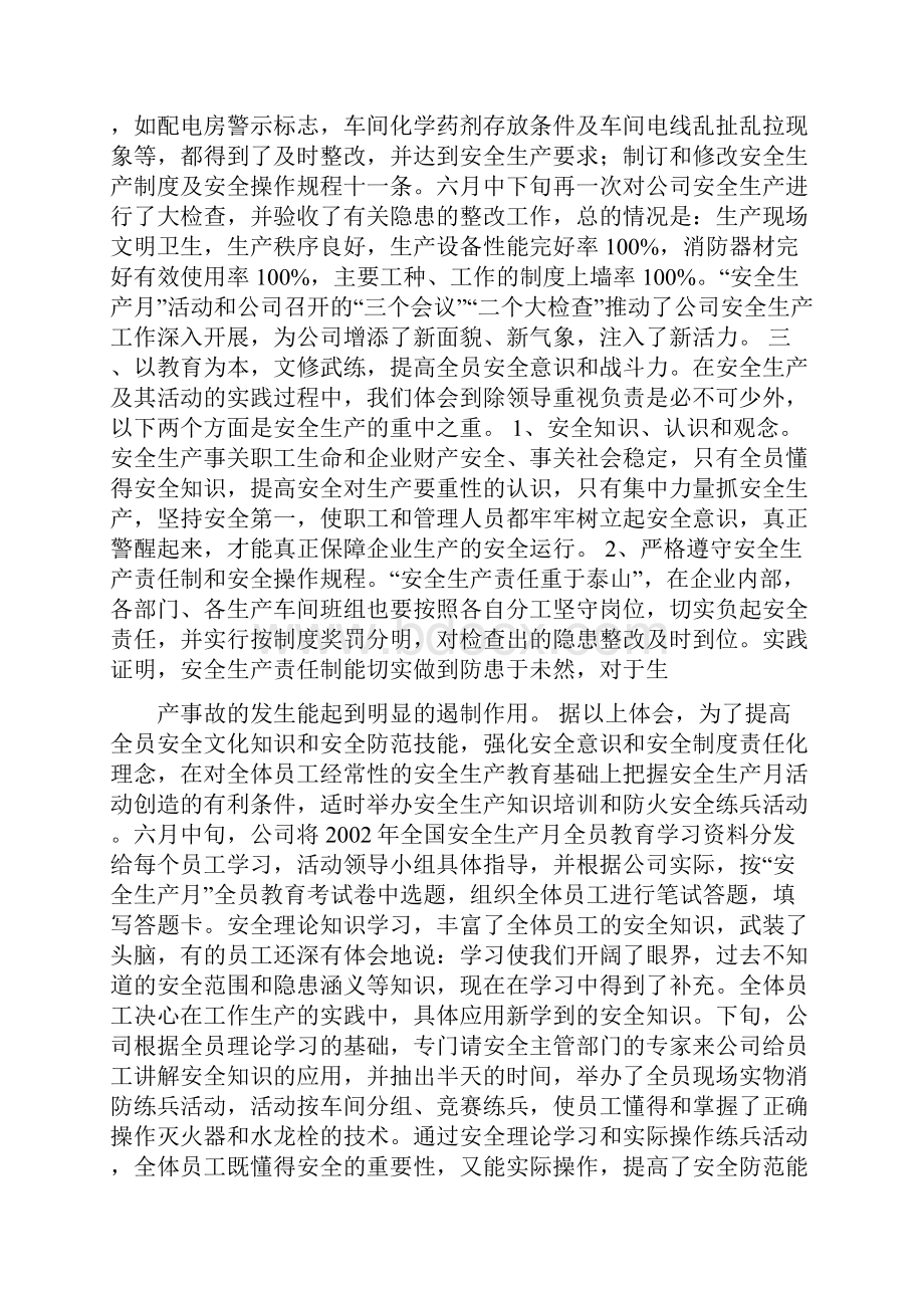 企业安全生产工作总结.docx_第2页