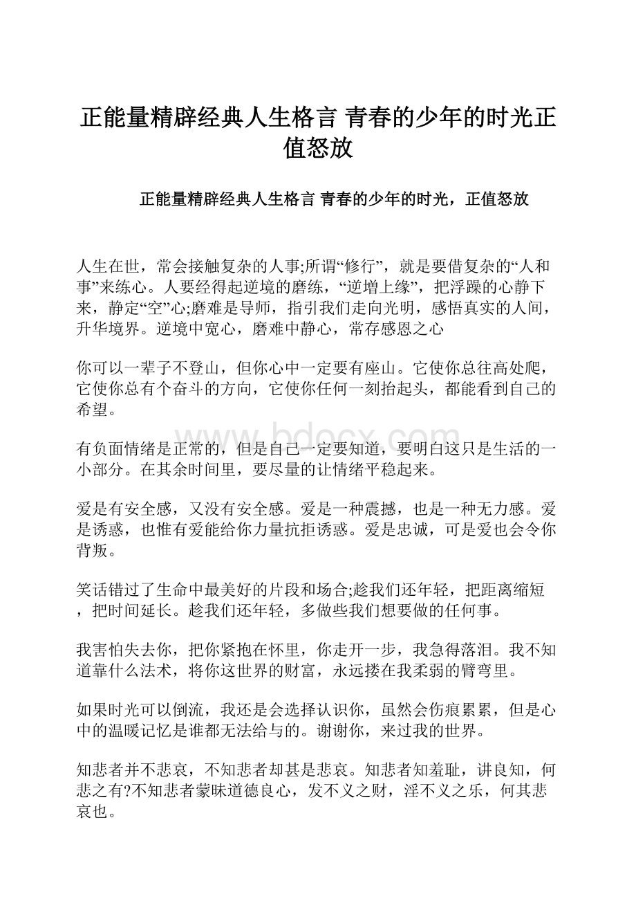 正能量精辟经典人生格言 青春的少年的时光正值怒放.docx_第1页