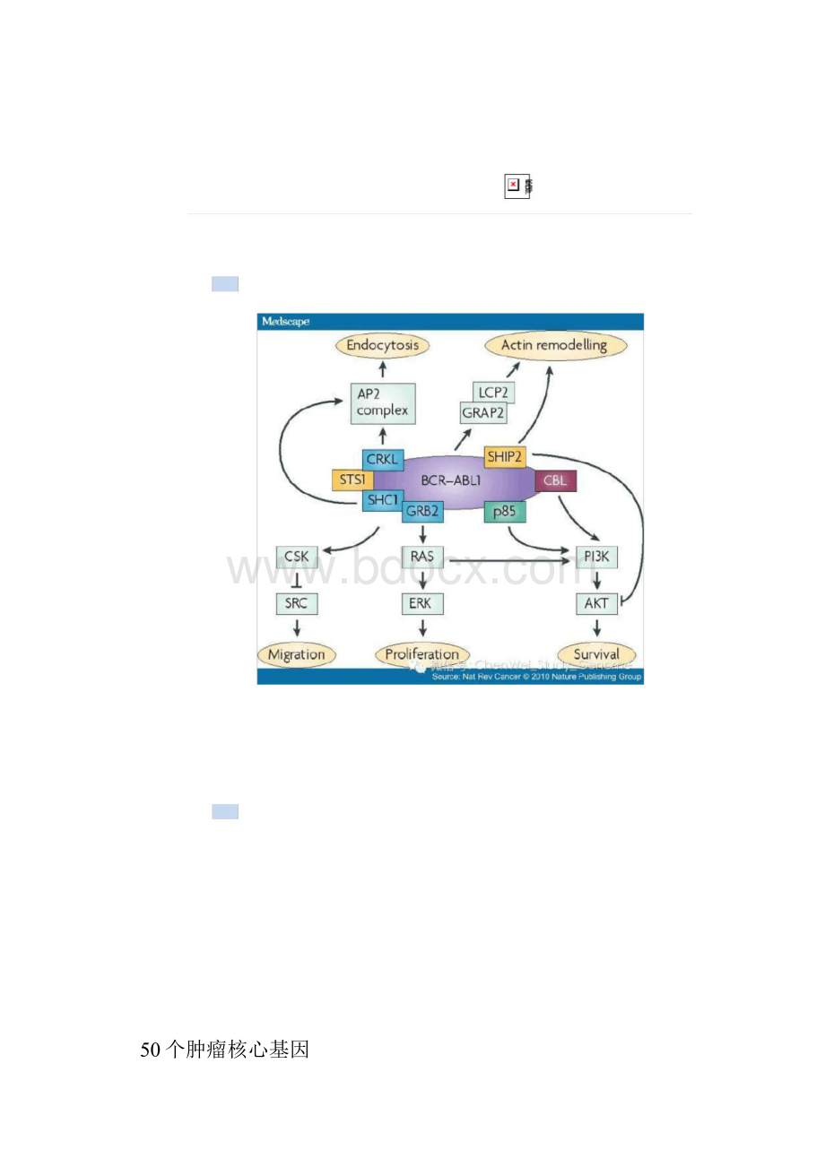 50个肿瘤核心基因doc.docx_第2页