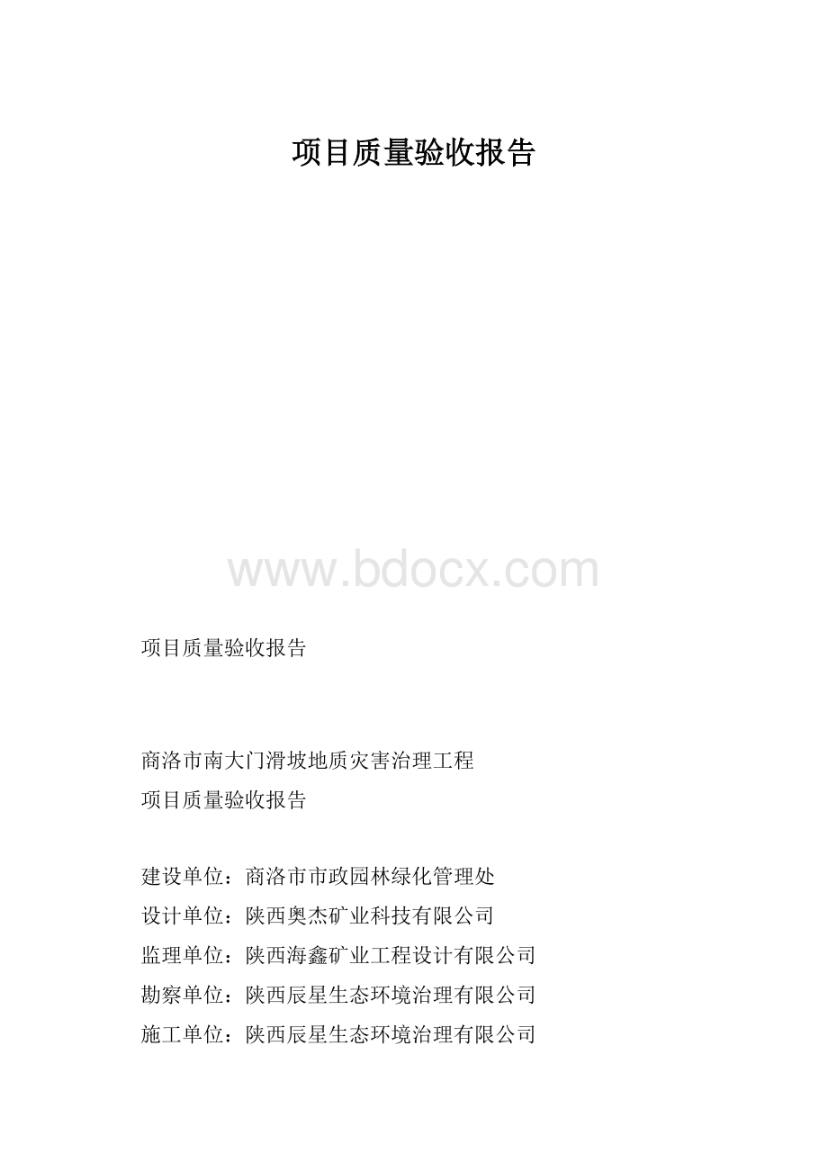 项目质量验收报告.docx