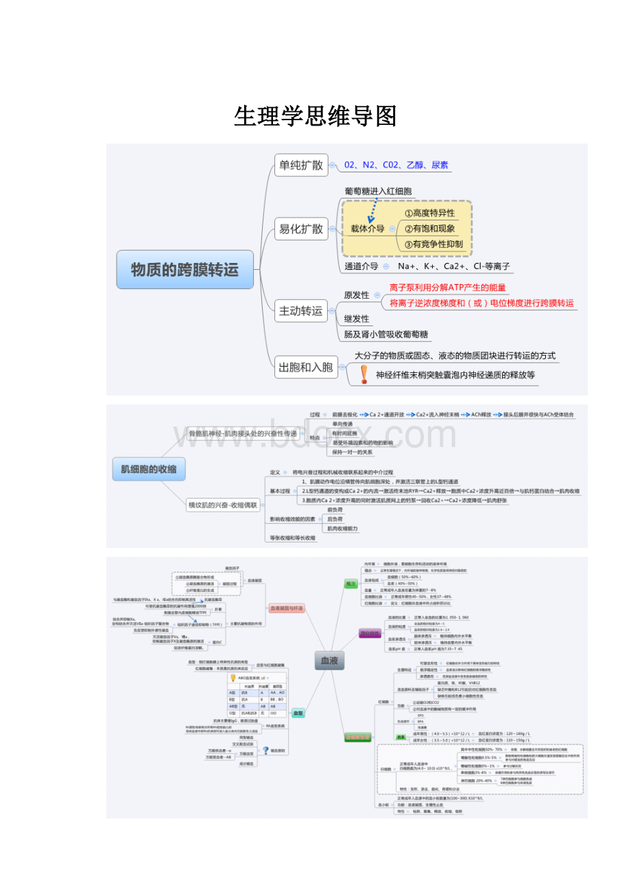 生理学思维导图.docx