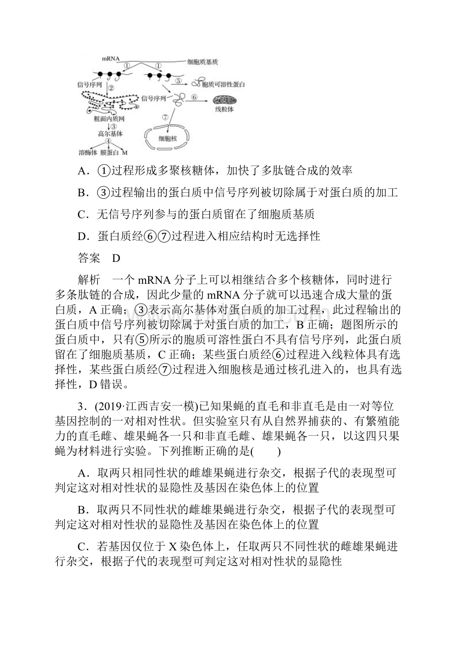 专题三 专题强化练提升练.docx_第2页