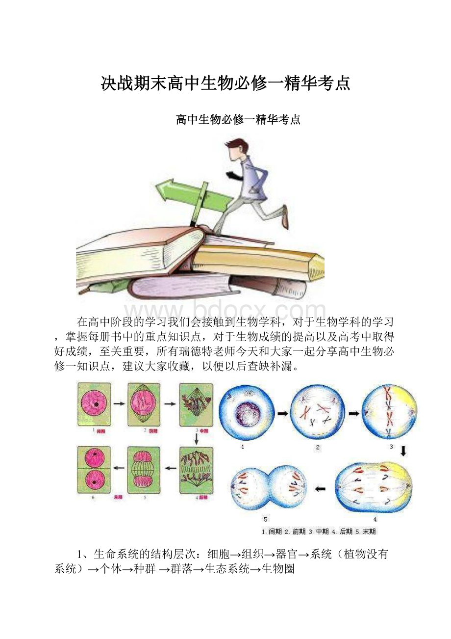 决战期末高中生物必修一精华考点.docx