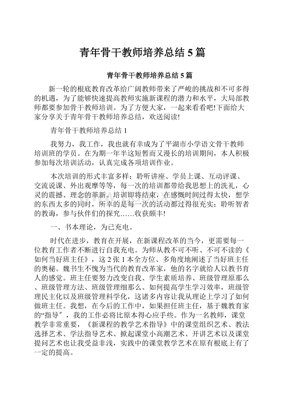 青年骨干教师培养总结5篇.docx