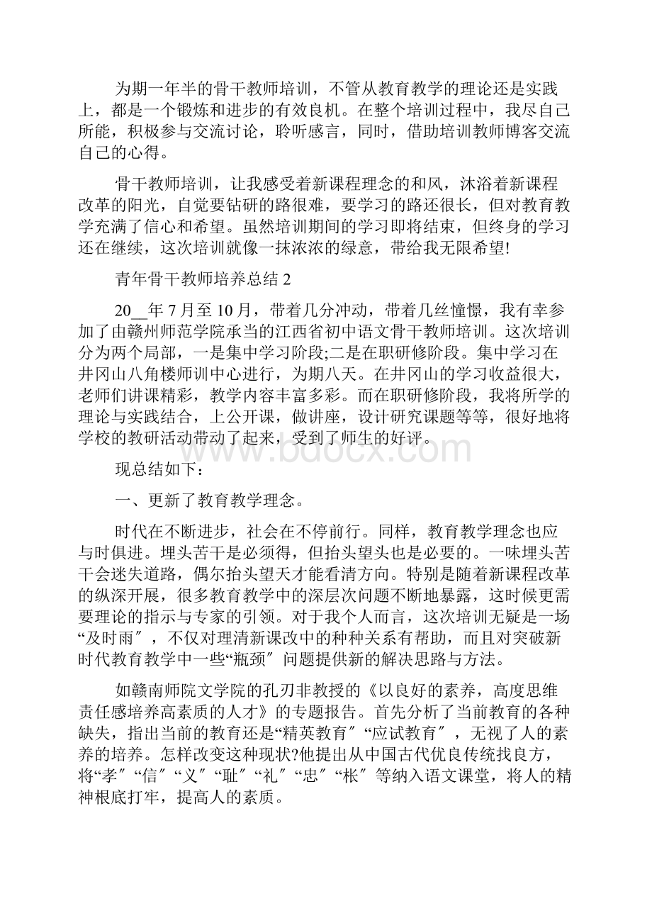 青年骨干教师培养总结5篇.docx_第3页