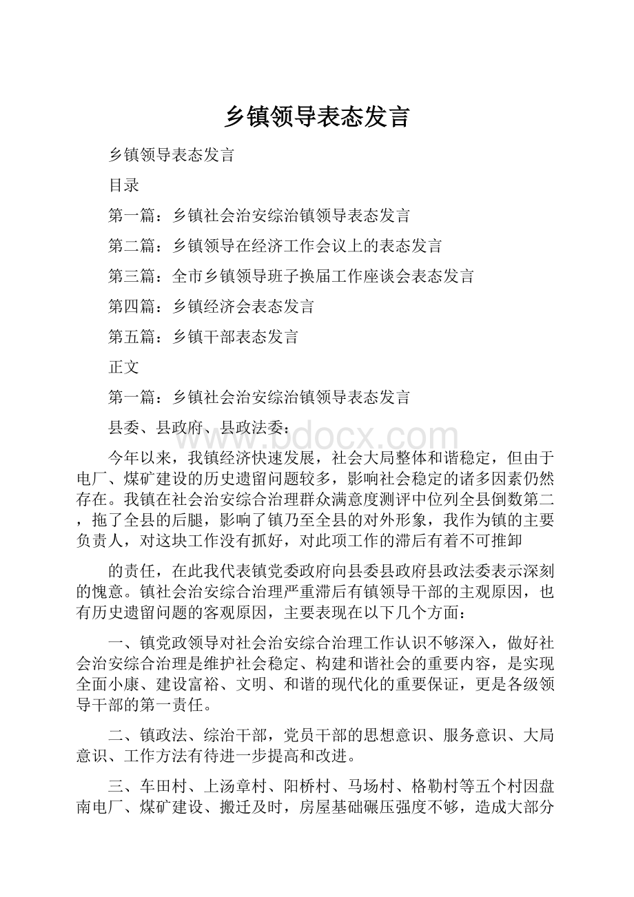 乡镇领导表态发言.docx