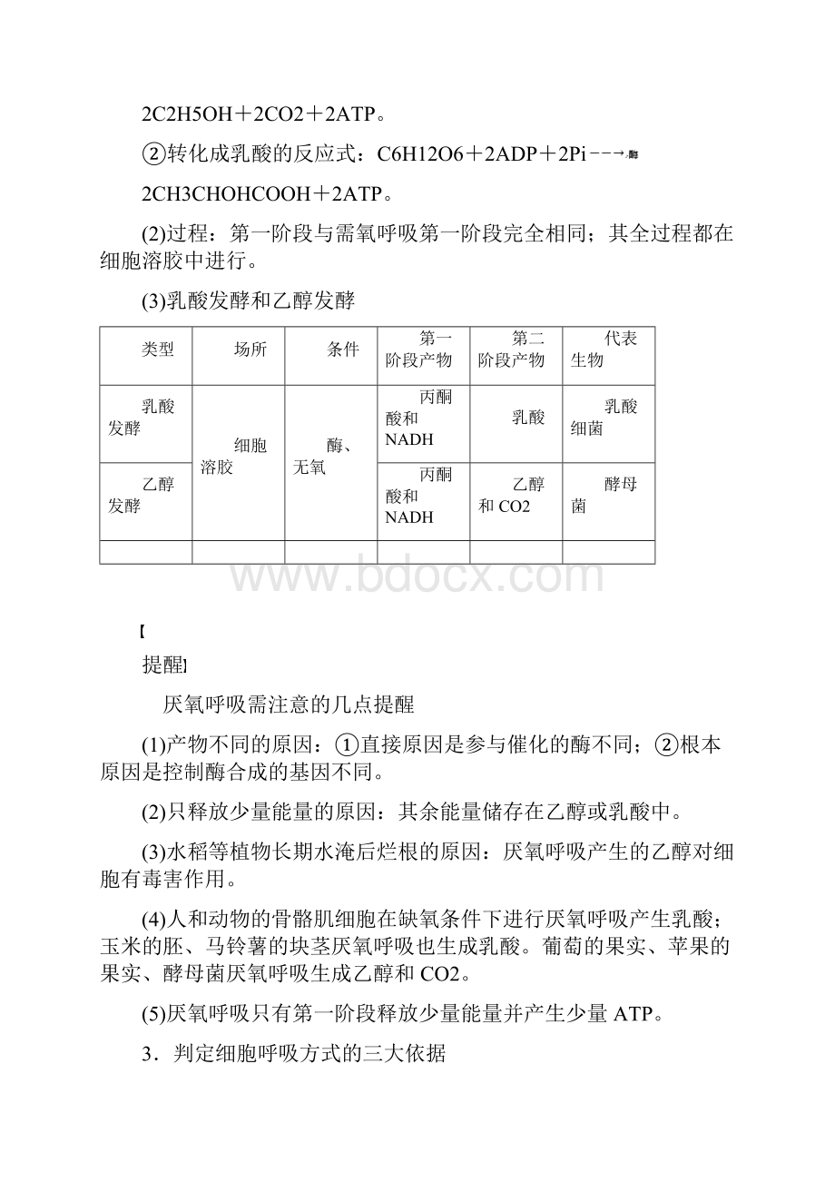 浙江专用高考生物二轮复习专题二细胞的代谢第4讲光合作用与细胞呼吸教案.docx_第2页