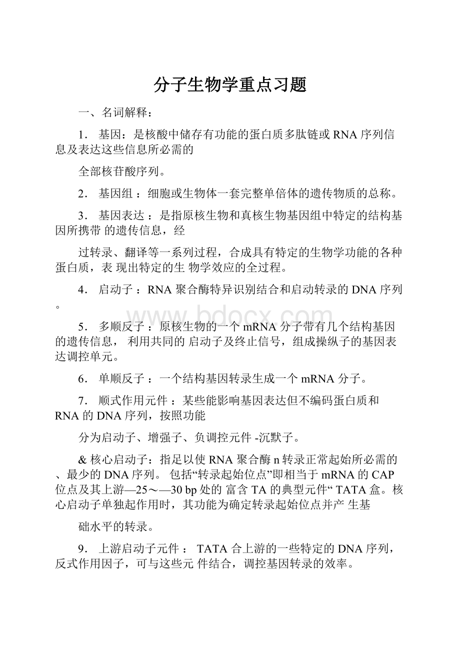 分子生物学重点习题.docx