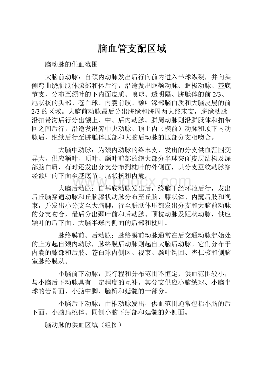 脑血管支配区域.docx_第1页