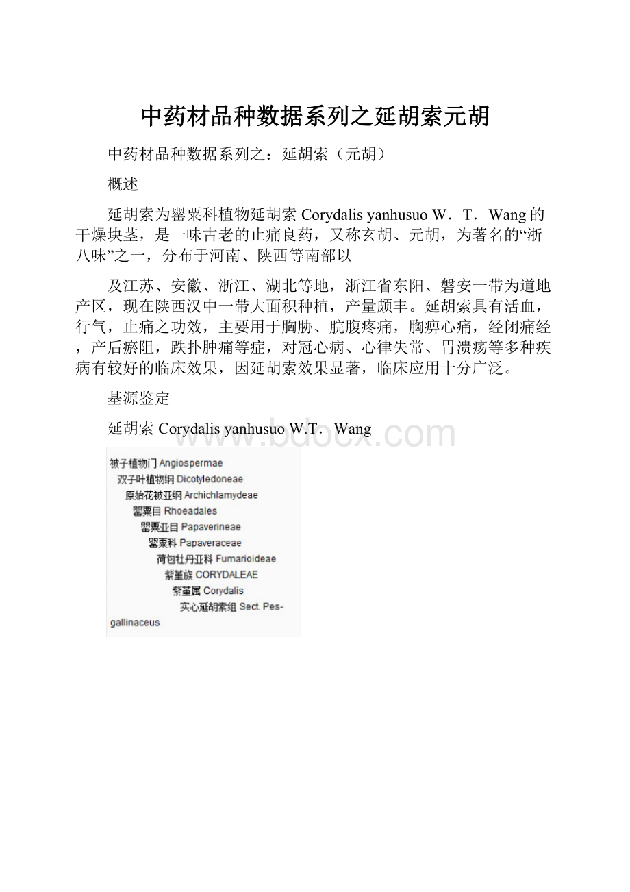 中药材品种数据系列之延胡索元胡.docx_第1页