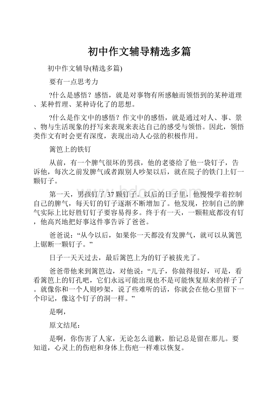 初中作文辅导精选多篇.docx