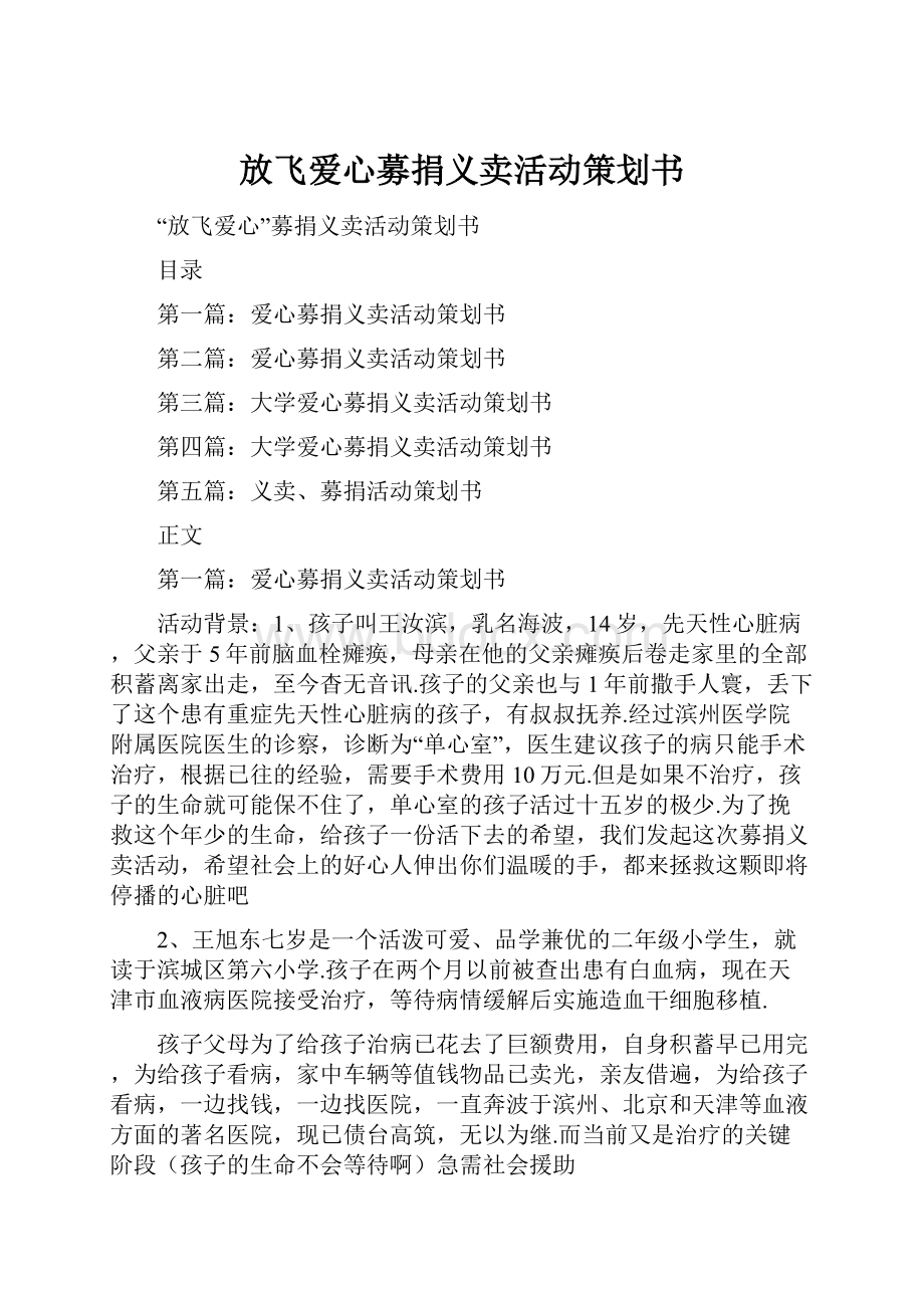 放飞爱心募捐义卖活动策划书.docx_第1页