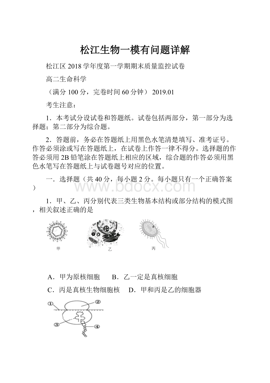 松江生物一模有问题详解.docx