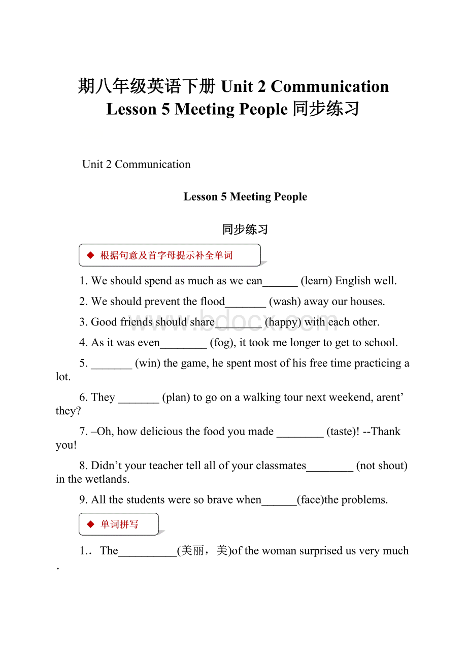 期八年级英语下册 Unit 2 Communication Lesson 5 Meeting People同步练习.docx