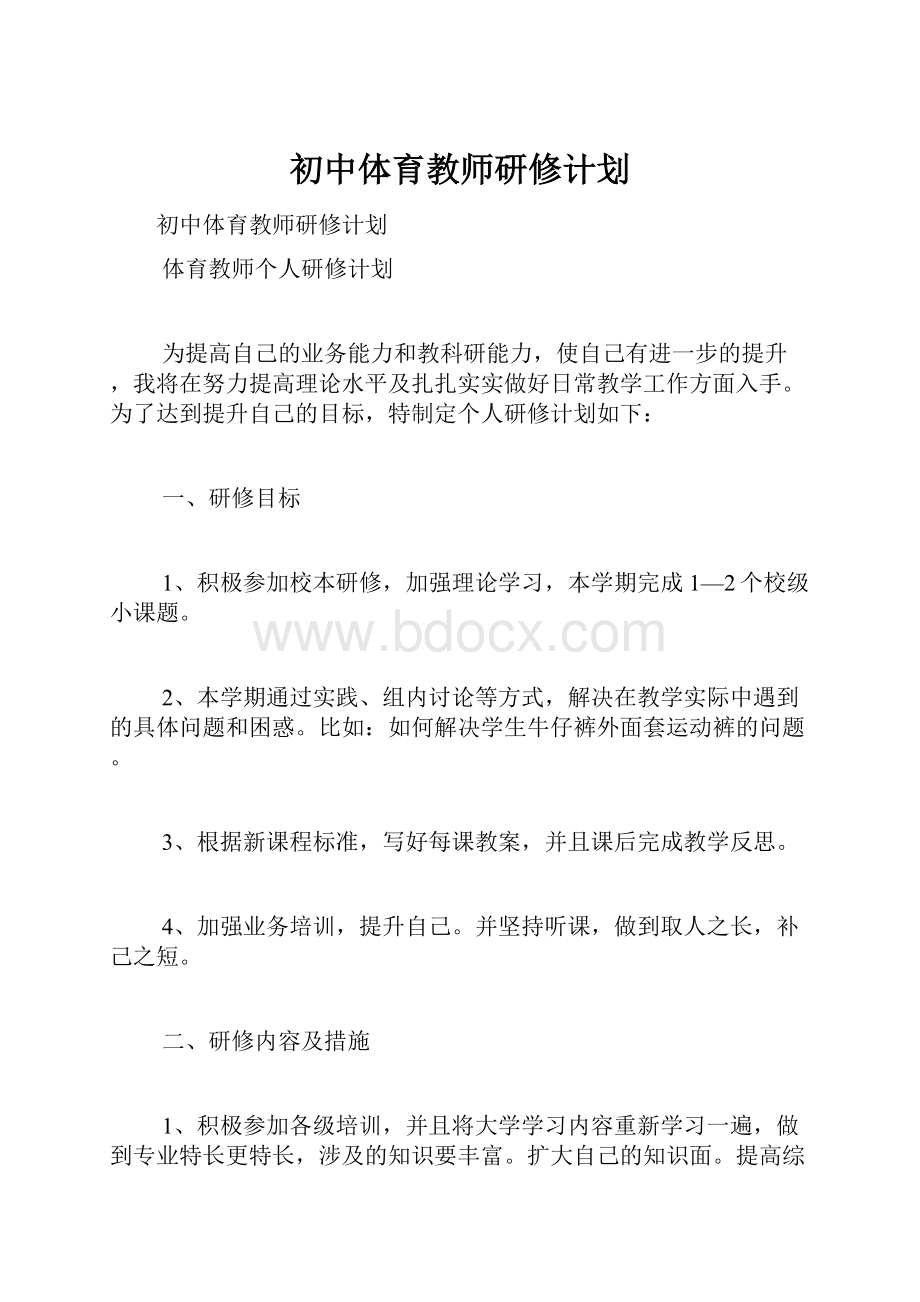 初中体育教师研修计划.docx